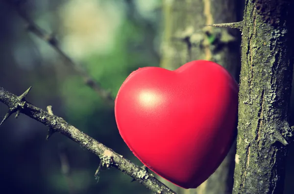 Kırmızı kalp şekli — Stok fotoğraf