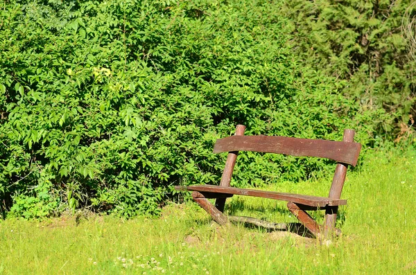 Bänk i den gröna parken — Stockfoto