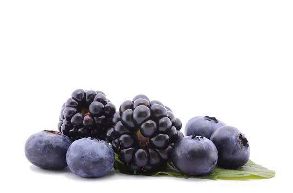 Blackberry and blueberry isolated on  white background — Stock Photo, Image