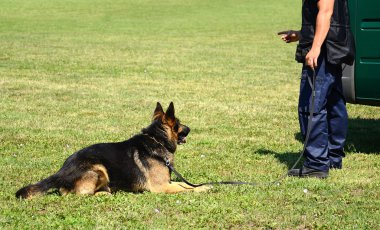 K9 polis köpeğiyle