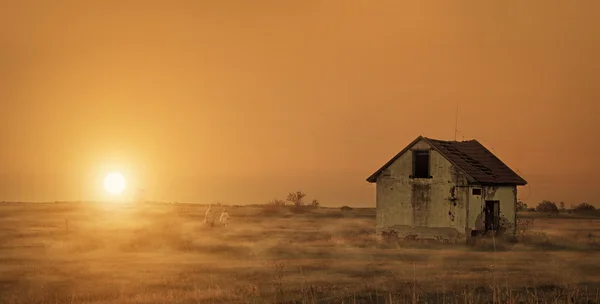 Casa abandonada en el campo —  Fotos de Stock