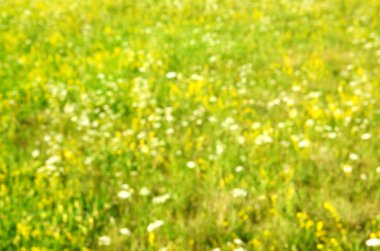 Ufuk alan arka plan için