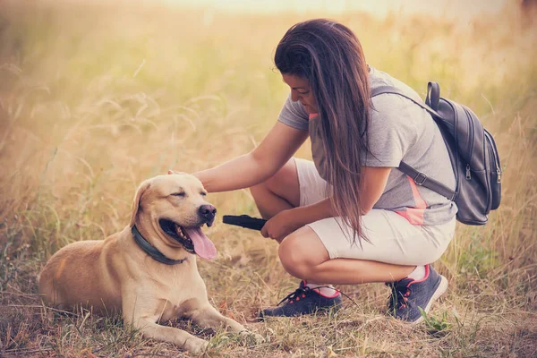 Brown Hair Woman Her Labrador Retriever Dog Nature — Zdjęcie stockowe