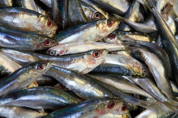 Stand de peixe no mercado de rua — Fotografia de Stock