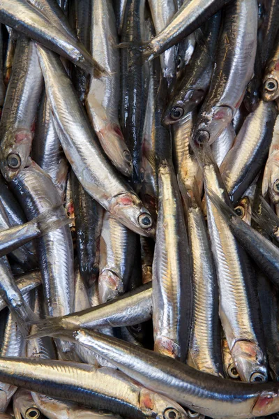 Stand de poisson dans le marché de rue — Photo