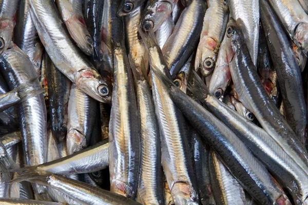 Ryby stojí v pouliční trh — Stock fotografie