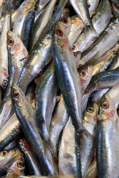 Ryby stojí v pouliční trh — Stock fotografie