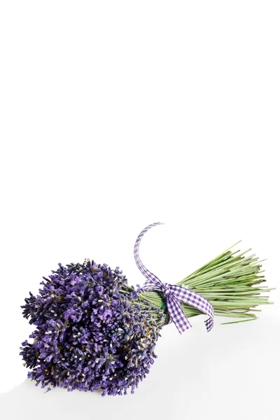Bouquet von Lavendelblüten auf weißem Hintergrund geschnitten — Stockfoto