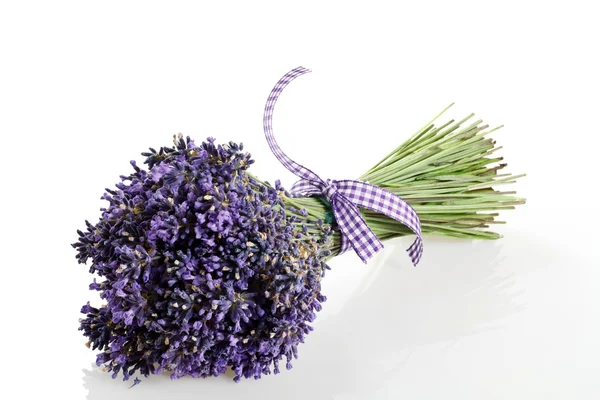 Buquê de flores de lavanda cortadas no fundo branco — Fotografia de Stock