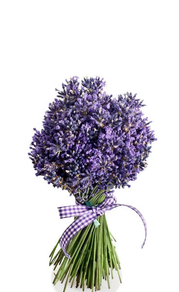 Boeket van lavendel gesneden op witte achtergrond — Stockfoto