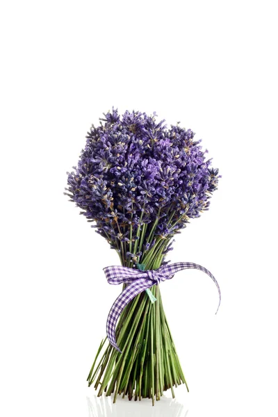 Ramo de flores de lavanda cortadas sobre fondo blanco — Foto de Stock