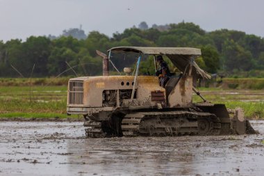Kota Kinabalu, Sabah, Malezya-25 Mayıs 2021: Traktör kullanan yerel kırsal yaşam biçimi tarlaları ekiyor ve kesiyor. Traktör köydeki kara toprak tarlasında çalışıyor.