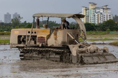 Kota Kinabalu, Sabah, Malezya-25 Mayıs 2021: Traktör kullanan yerel kırsal yaşam biçimi tarlaları ekiyor ve kesiyor. Traktör köydeki kara toprak tarlasında çalışıyor.