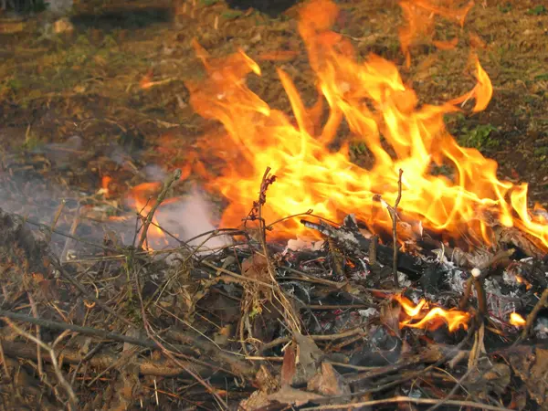 Foto: fogata | Fogata de playa en el lago con playa de arena — Foto de