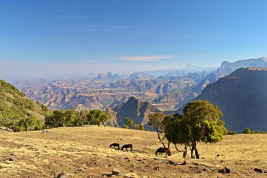 Panorama, simien dağlar, Etiyopya