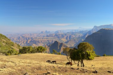 Panorama, Simien Mountains, Ethiopia clipart