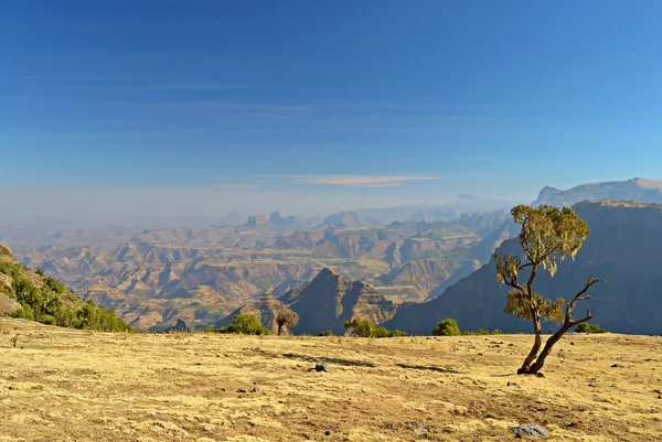 Montañas Simien paisaje terrestre — Foto de Stock