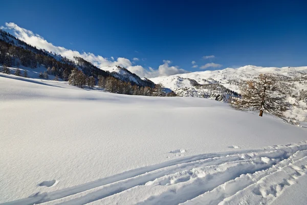 Paisaje invernal en los Alpes italianos después de fuertes nevadas — Foto de Stock