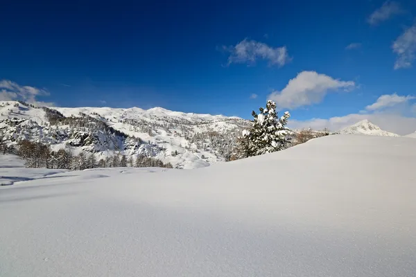 Vinterlandskap i de italienska Alperna efter kraftigt snöfall — Stockfoto