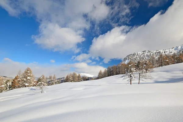 Paisaje invernal en los Alpes italianos después de fuertes nevadas Imágenes de stock libres de derechos