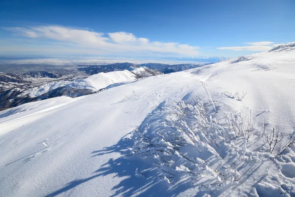 Oneindige winter panorama — Stockfoto