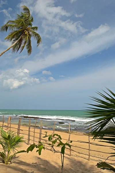 Desert tropical beach — Stock Photo, Image