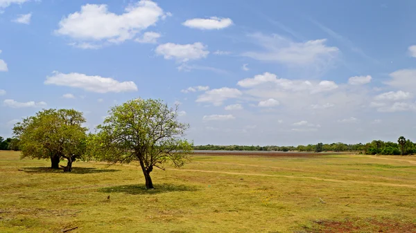 Sri Lankan landscape — Stock Photo, Image