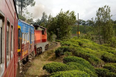 Sri Lanka'da tren