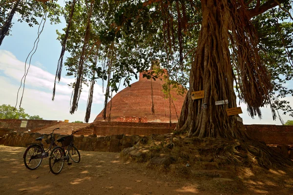 Jetavanarama Dagoba in Anuradhapura — Stockfoto