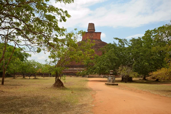 Jetavanarama dagoba i anuradhapura — Stockfoto