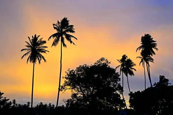 Puesta de sol de Sri Lanka —  Fotos de Stock