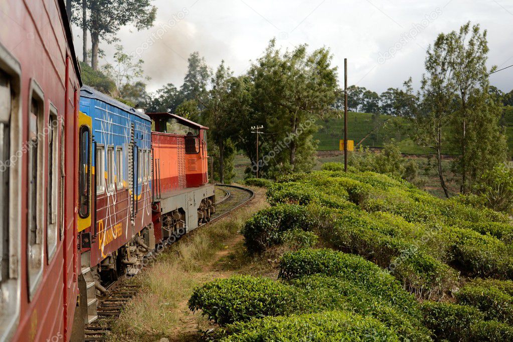 train in Sri Lanka