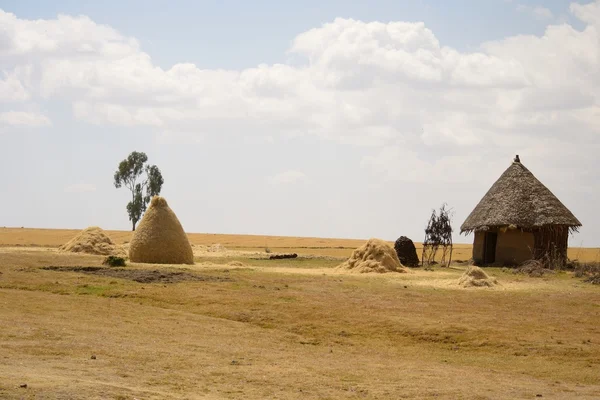 埃塞俄比亚的小屋 — 图库照片