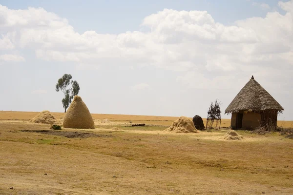 Cabaña etíope — Foto de Stock