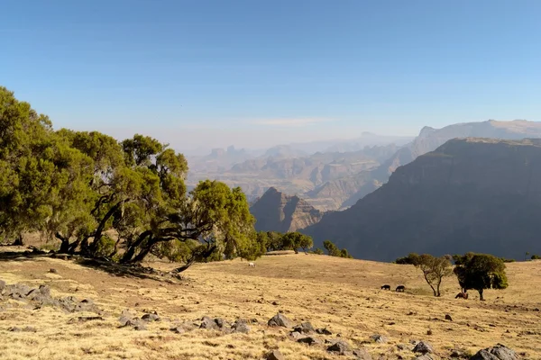 Amplio paisaje etíope — Foto de Stock