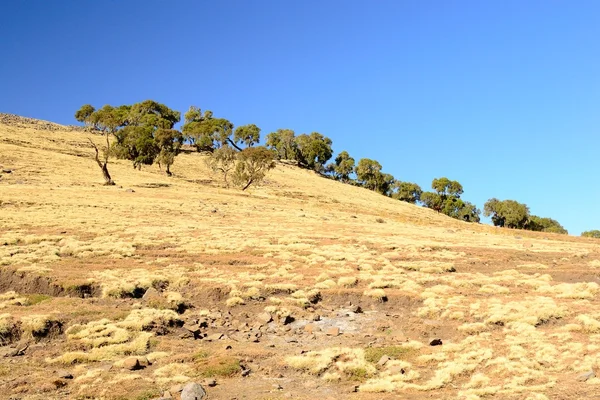 Paysage des montagnes Simien — Photo