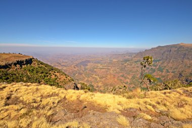 Simien dağ manzarası