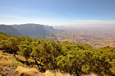 Simien dağ manzarası