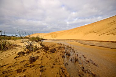 kum tepeleri ve te Pakistanlı akışı