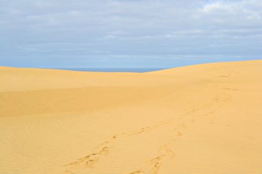 kum tepeleri Panoraması