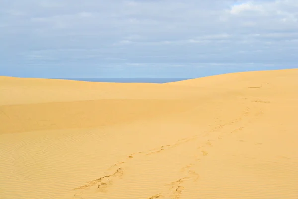 Panorama delle dune di sabbia — Foto Stock