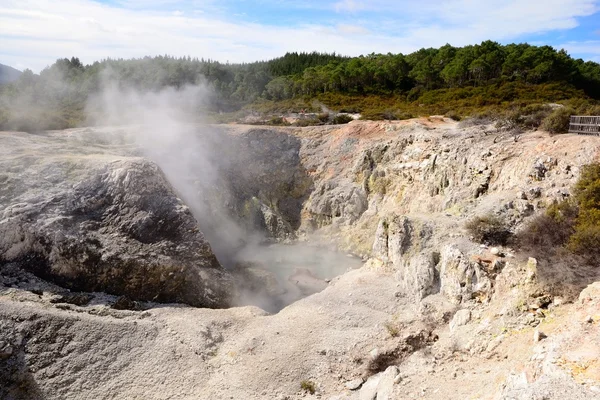 Ångande geo-termisk kratern — Stock fotografie