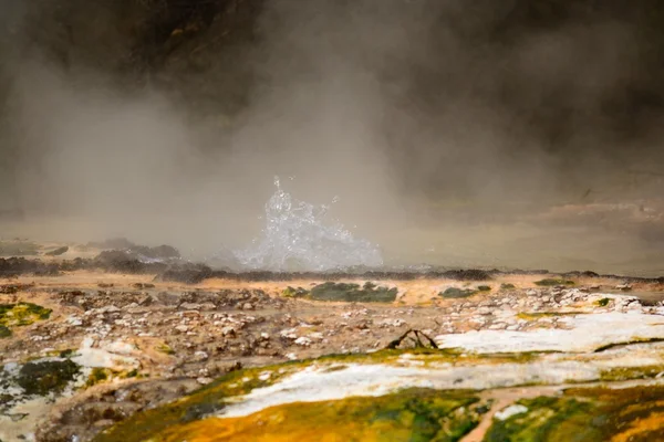 Geo-termisk fjädrar — Stockfoto