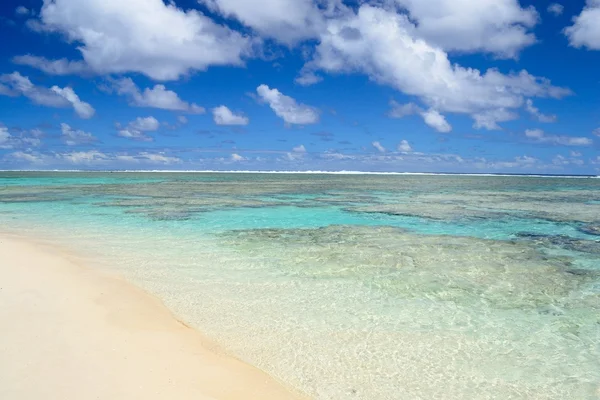 Sonhando Ilhas Cook — Fotografia de Stock
