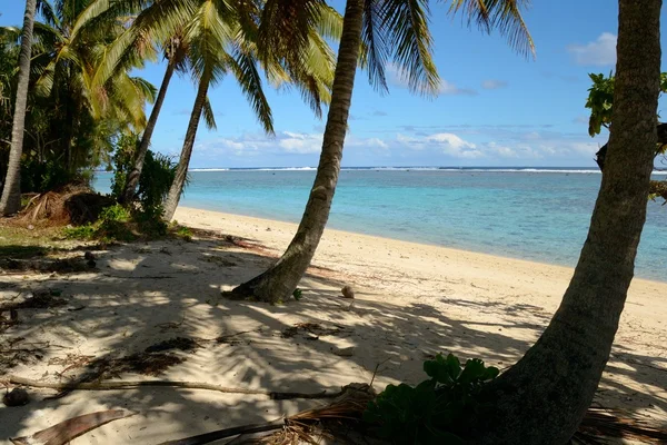 Dreaming Cook Islands — Stock Photo, Image