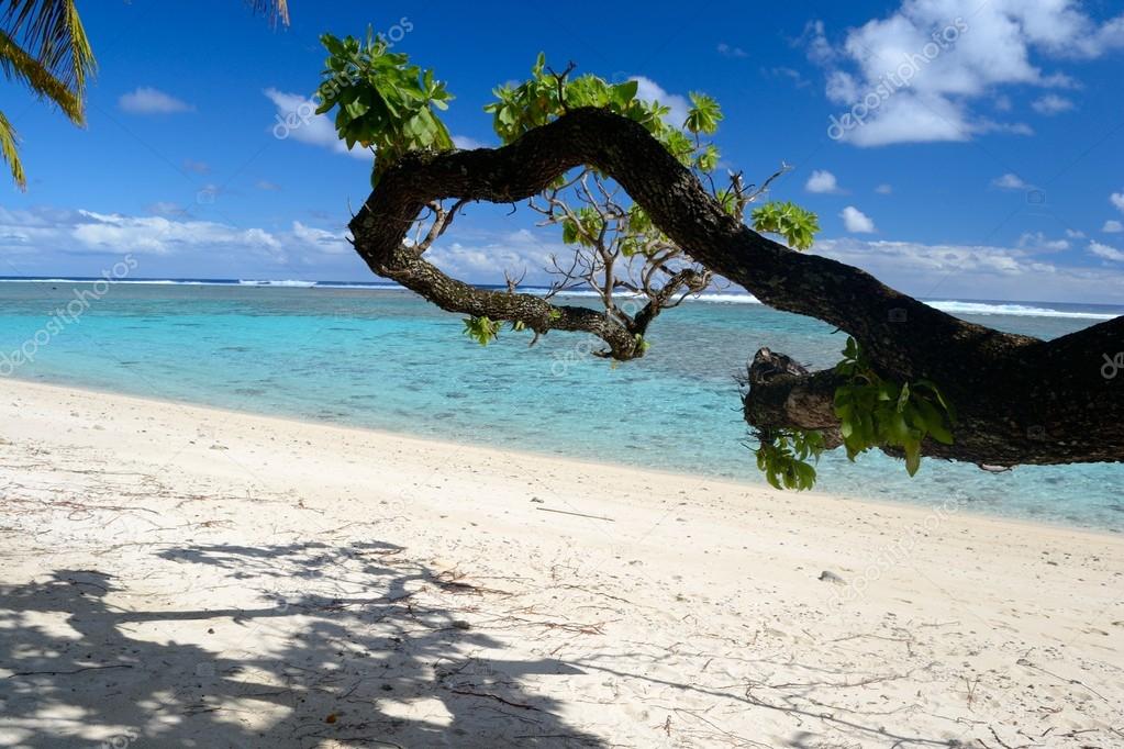 Dreaming Cook Islands