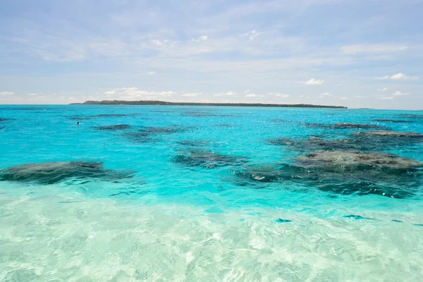 Sonho azul — Fotografia de Stock