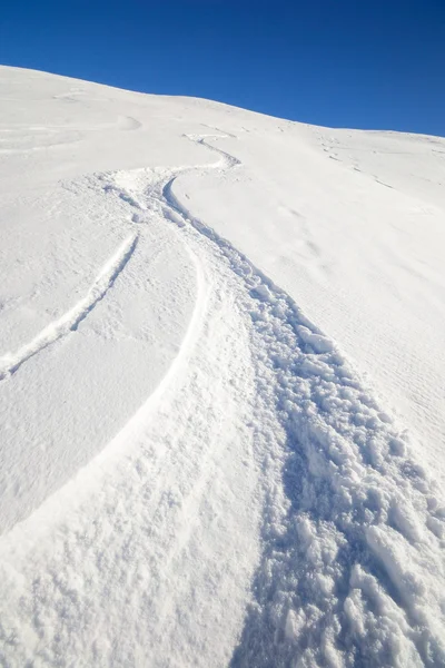 White wonderland — Stock Photo, Image