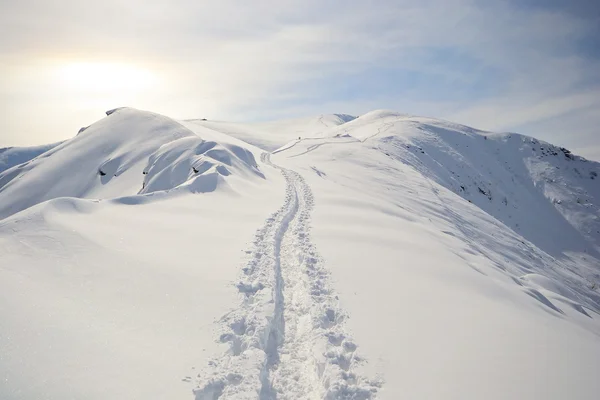 Chemin vers le ciel — Photo