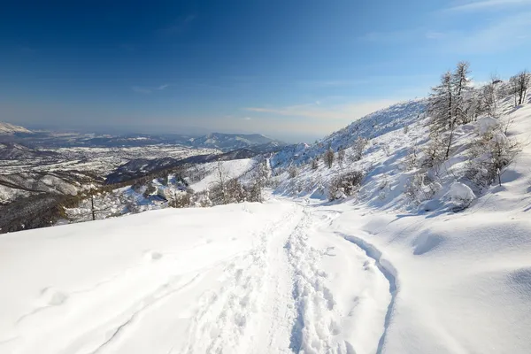 Utforska Alperna i vinter — Stockfoto